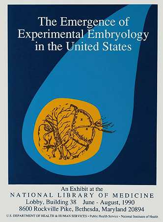 “美国国立卫生研究院实验胚胎学的出现