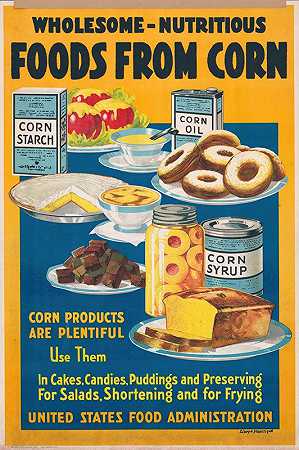 劳埃德·哈里森（Lloyd Harrison）的《健康营养的玉米食品》