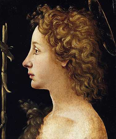 Piero di Cosimo的《年轻的施洗者圣约翰》