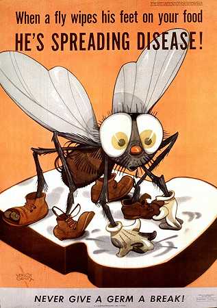 “当一只苍蝇在你的食物上擦脚时，他正在通过传播疾病
