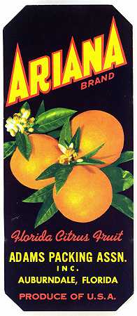 “Ariana品牌佛罗里达柑橘水果标签”