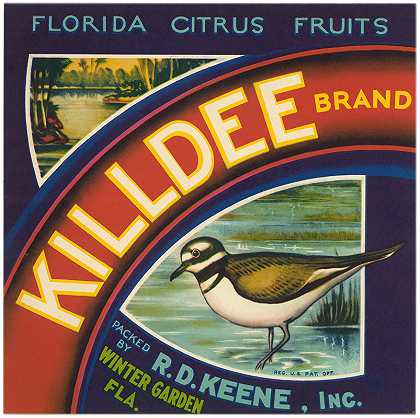 “Killdee品牌佛罗里达柑橘水果标签”
