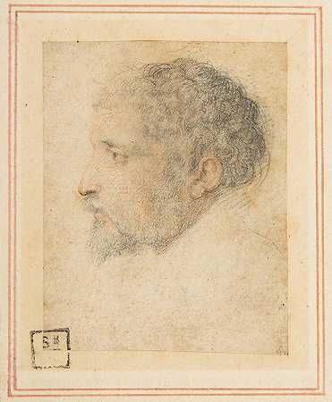 帕尔米吉亚尼诺的《人物头像向左》
