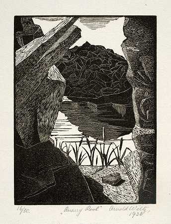 阿诺德·威尔茨的《采石池》