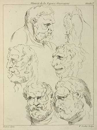彼得·保罗·鲁本斯（Peter Paul Rubens）对胡须人的头部和生物头部的研究