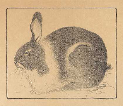 Léon Spilliert的《兔子》