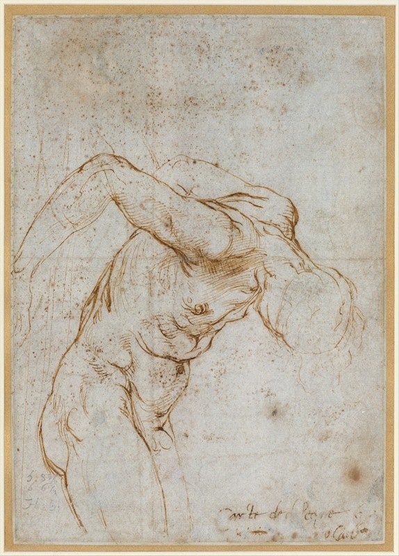 拉斐尔的《裸体男性形象研究》