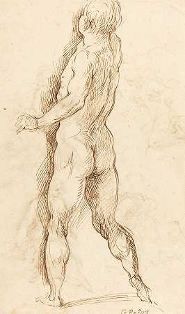 《从背后看到的裸男》（verso）作者：杰科波·帕尔马·伊尔·乔瓦内