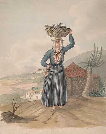 阿尔弗雷德·迪斯顿的《维多利亚的女人，特内里费》