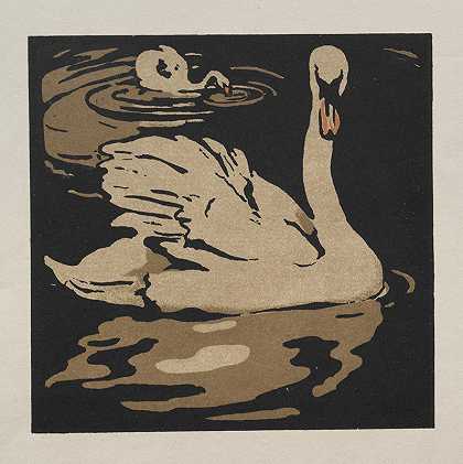 威廉·尼科尔森的《方形动物书美丽的天鹅1899》