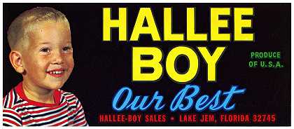 “Hallee Boy Produce Label by Anonymous”