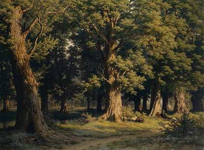 罗伯特·苏德的《卢塞恩附近的树林》