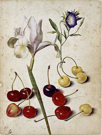 乔治·弗莱格尔的《西班牙鸢尾花、牵牛花和樱桃》