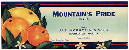 “Mountain”的骄傲品牌柑橘标签