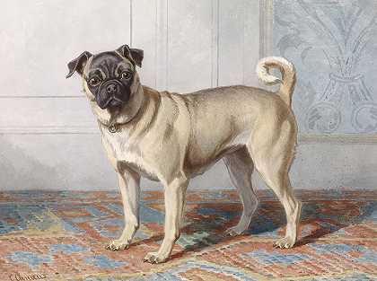 《爱德温·沃姆·拉特的小狗肖像》，作者：康拉迪恩·库奈
