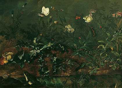 长者弗朗茨·迈克尔·齐格蒙德·冯·普高的《蓟、青蛙和蜻蜓的草片》