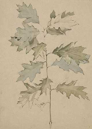 安托恩·德金登的《带树叶的橡树枝》