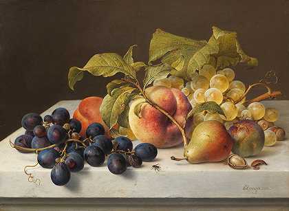 约翰·威廉·普雷耶的《水果静物》