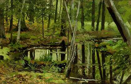 斯坦尼斯瓦夫·维特基维奇的《森林荒野》