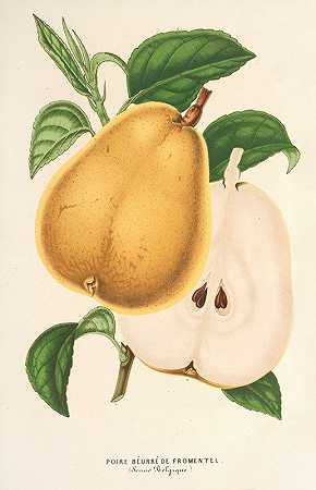 查尔斯·安托万·勒梅尔的奶油梨