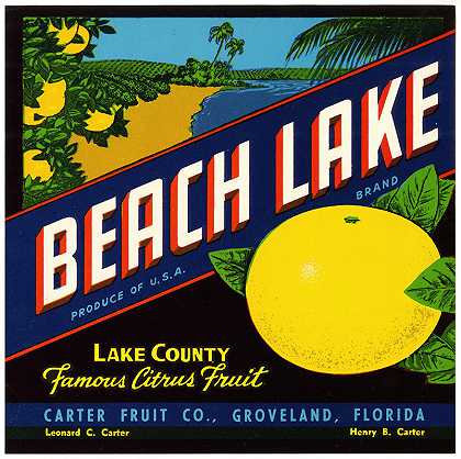 “海滩湖品牌柑橘标签”