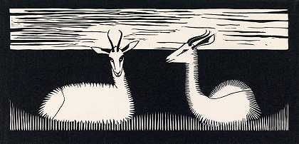 塞缪尔·杰苏伦·德·梅斯基塔的《推特瞪羚》