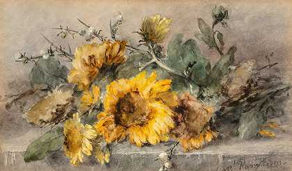 玛格丽莎·鲁森布姆（Margaretha Roosenboom）的《向日葵在石壁上的喷雾》