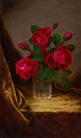 马丁·约翰逊·海德的《雅克米诺玫瑰》