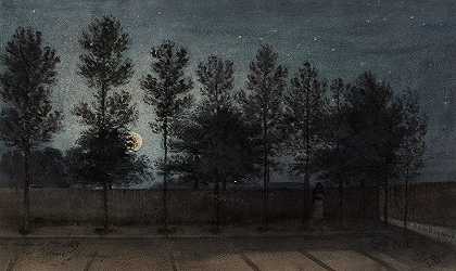 “1889年大蒙特罗日拉卡纳尔街的景色，月亮的效果。费利克斯·布拉德