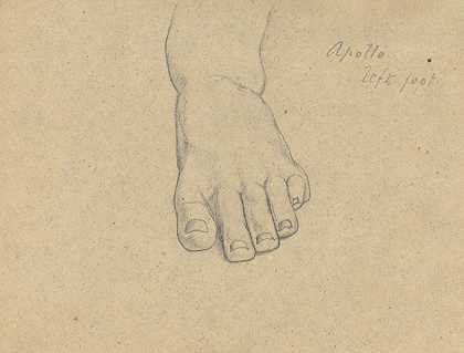 塞缪尔·芬利·布雷斯·莫尔斯的《木星审判研究》（阿波罗，左脚）