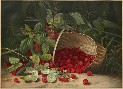 弗吉尼亚·格兰贝里的《树莓》