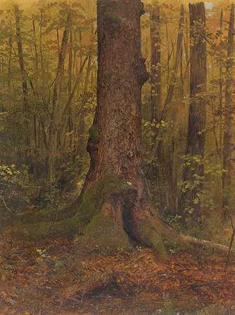 弗雷德里克·埃德温·丘奇的《在森林里，可能是缅因州》