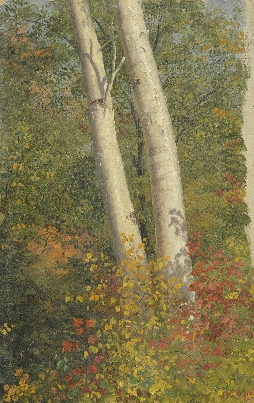 弗雷德里克·埃德温·丘奇的《秋天的桦树》