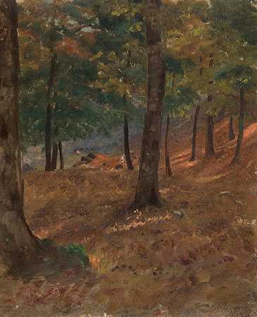 弗雷德里克·埃德温·丘奇的《林地场景》