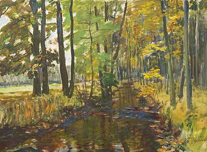 安东·胡德切克的《森林中的小溪》