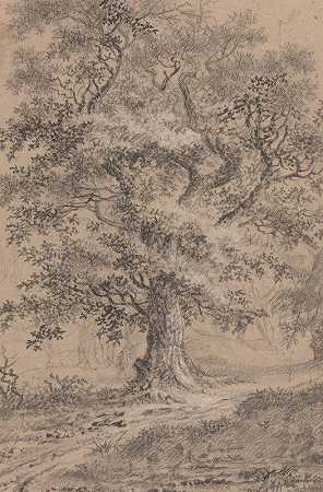 约翰·卡斯帕·胡伯的《林地小径旁的一棵树叶橡树》