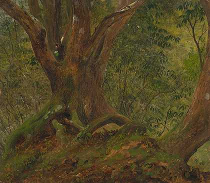 弗雷德里克·埃德温·丘奇的《在森林里，牙买加》