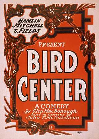 美国石版印刷的鸟中心。