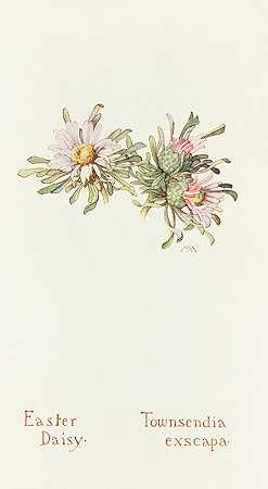 玛格丽特·阿姆斯特朗的《复活节雏菊》