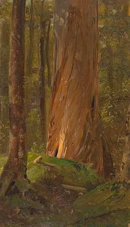 弗雷德里克·埃德温·丘奇的《缅因森林研究》