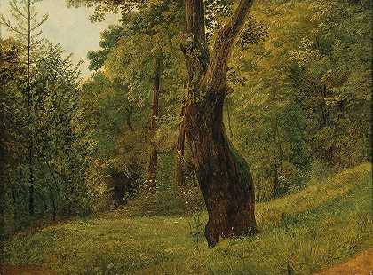 弗里德里希·高尔曼的《森林边缘的一棵树》