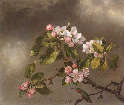 马丁·约翰逊·海德的《蜂鸟与苹果开花》