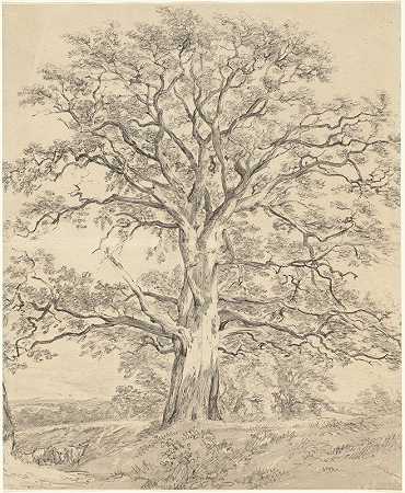 约翰·康斯特布尔的《一棵大橡树》
