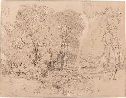 约翰·塞尔·科特曼的《森林风景》