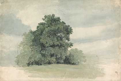 Cornelius Varley的《田野边缘的树木研究》