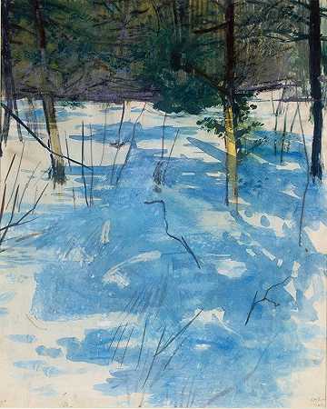 阿博特·汉德森·塞耶的《冬天，莫纳德诺克》