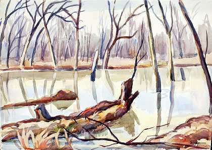 埃德加·奈的《岩石溪，冬天》