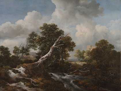 雅各布·范·鲁伊斯代尔（Jacob van Ruisdael）的《枯死山毛榉的森林风景中的低瀑布》