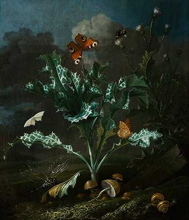 奥托·马修斯·范·施莱克的《蓟与蝴蝶》