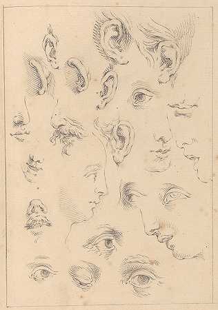 哈姆雷特·温斯坦利的《眼睛、耳朵和轮廓的各种草图》